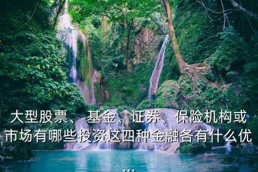 大型股票、 基金、證券、保險(xiǎn)機(jī)構(gòu)或市場(chǎng)有哪些投資這四種金融各有什么優(yōu)...