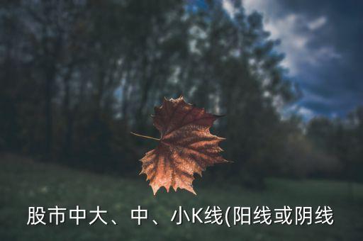 股市中大、中、小K線(陽線或陰線