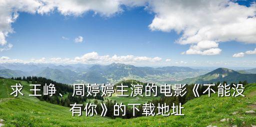 求 王崢、周婷婷主演的電影《不能沒(méi)有你》的下載地址