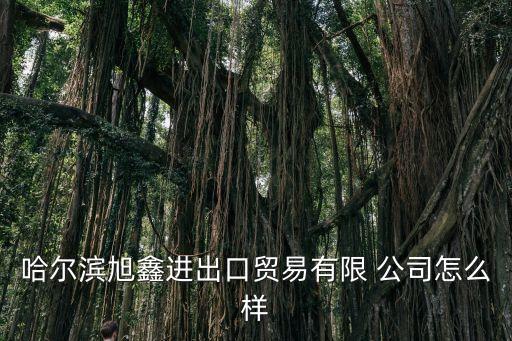 哈爾濱旭鑫進出口貿易有限 公司怎么樣