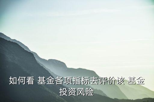 如何看 基金各項指標去評價該 基金投資風險