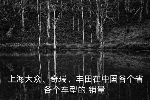  上海大眾、奇瑞、豐田在中國各個省各個車型的 銷量