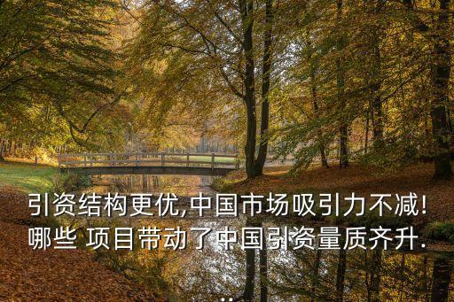 引資結(jié)構(gòu)更優(yōu),中國市場(chǎng)吸引力不減!哪些 項(xiàng)目帶動(dòng)了中國引資量質(zhì)齊升...