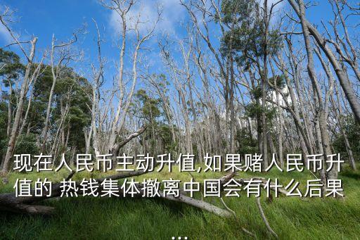 現在人民幣主動升值,如果賭人民幣升值的 熱錢集體撤離中國會有什么后果...