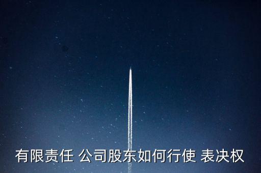有限責任 公司股東如何行使 表決權(quán)