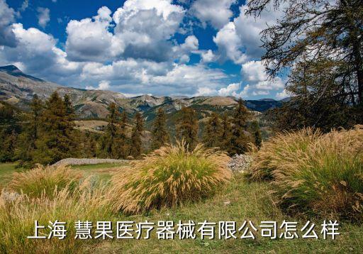 上?；酃悄?上海同果智能科技