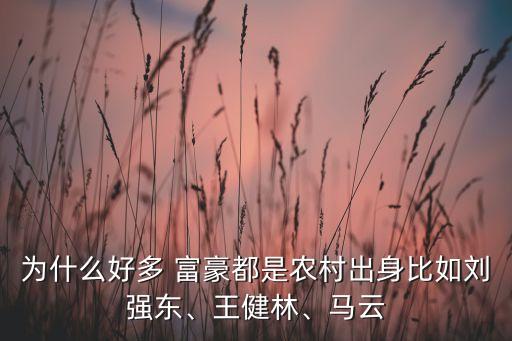 為什么好多 富豪都是農(nóng)村出身比如劉強東、王健林、馬云