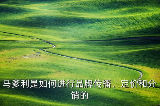 馬爹利是如何進(jìn)行品牌傳播、定價和分銷的