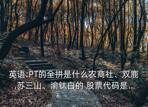 英語:PT的全拼是什么農(nóng)商社、雙鹿,蘇三山、渝鈦白的 股票代碼是...