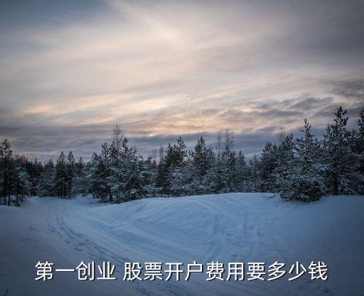 第一創(chuàng)業(yè) 股票開(kāi)戶費(fèi)用要多少錢(qián)