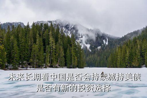  未來長(zhǎng)期看中國(guó)是否會(huì)持續(xù)減持美債是否有新的投資選擇
