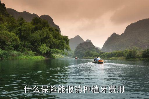 什么保險能報銷種植牙費(fèi)用