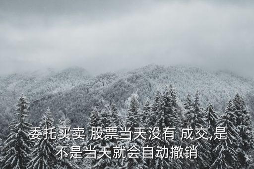  委托買賣 股票當(dāng)天沒(méi)有 成交,是不是當(dāng)天就會(huì)自動(dòng)撤銷