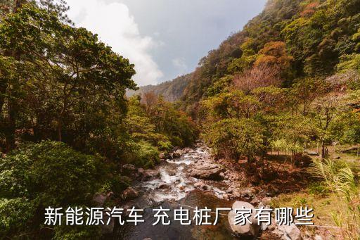 充電樁股票代碼,國內充電樁企業(yè)10強上市公司