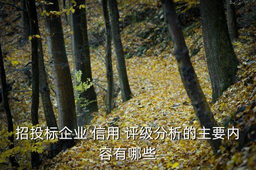 招投標(biāo)企業(yè) 信用 評級(jí)分析的主要內(nèi)容有哪些