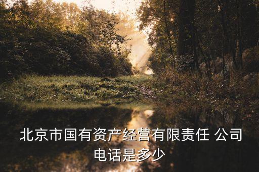  北京市國(guó)有資產(chǎn)經(jīng)營(yíng)有限責(zé)任 公司電話是多少