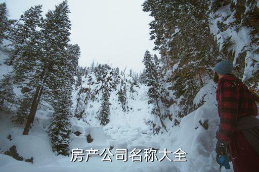 房產(chǎn)公司名稱(chēng)大全