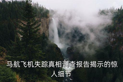  馬航飛機失蹤真相調查報告揭示的驚人細節(jié)