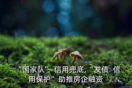 中化集團(tuán)信用評級報告,紅豆集團(tuán)信用評級報告2023
