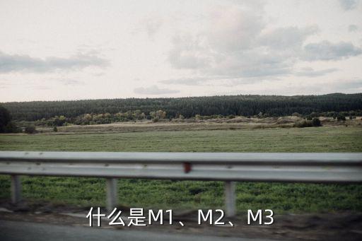 什么是M1、M2、M3