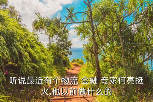 聽(tīng)說(shuō)最近有個(gè)物流 金融 專(zhuān)家何亮挺火,他以前做什么的