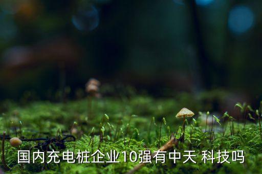 國內(nèi)充電樁企業(yè)10強有中天 科技嗎