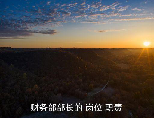 財(cái)務(wù)部部長(zhǎng)的 崗位 職責(zé)