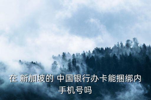 在 新加坡的 中國銀行辦卡能捆綁內(nèi)手機(jī)號嗎