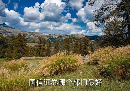  國信證券哪個(gè)部門最好
