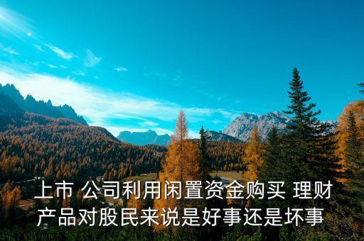  上市 公司利用閑置資金購買 理財(cái)產(chǎn)品對股民來說是好事還是壞事