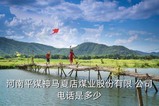 平頂山市經(jīng)營(yíng)煤炭公司名稱(chēng)
