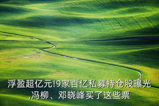 浮盈超億元!9家百億私募持倉股曝光,馮柳、鄧曉峰買了這些票