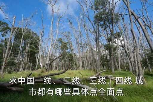 求中國一線、 二線、三線、四線 城市都有哪些具體點全面點