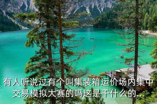 有人聽說過有個叫集裝箱運(yùn)價場內(nèi)集中交易模擬大賽的嗎這是干什么的...