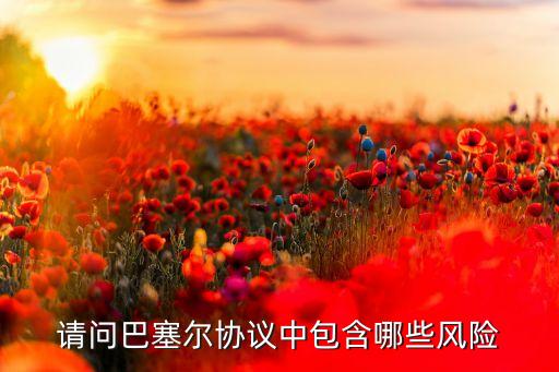 請(qǐng)問巴塞爾協(xié)議中包含哪些風(fēng)險(xiǎn)