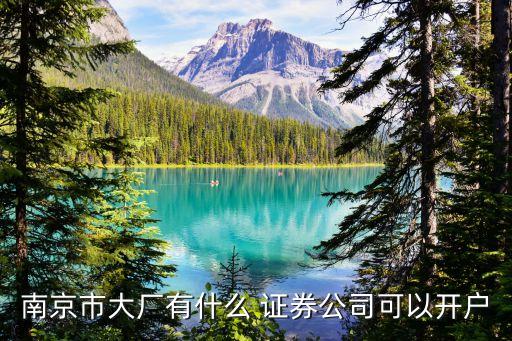 南京市大廠有什么 證券公司可以開(kāi)戶(hù)