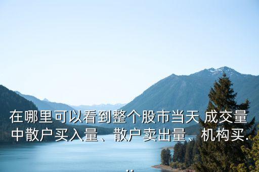 在哪里可以看到整個(gè)股市當(dāng)天 成交量中散戶買入量、散戶賣出量、機(jī)構(gòu)買...