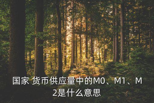 國(guó)家 貨幣供應(yīng)量中的M0、M1、M2是什么意思