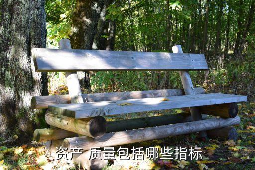  資產(chǎn) 質(zhì)量包括哪些指標
