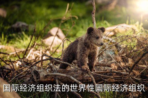 國際經濟組織法的世界性國際經濟組織