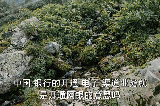 中國(guó) 銀行的開(kāi)通 電子 渠道業(yè)務(wù)就是開(kāi)通網(wǎng)銀的意思嗎