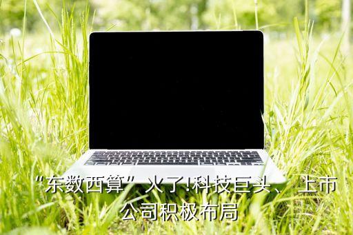 “東數(shù)西算”火了!科技巨頭、 上市 公司積極布局