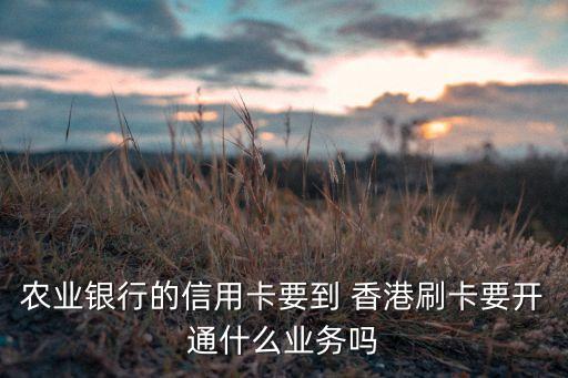 農業(yè)銀行的信用卡要到 香港刷卡要開通什么業(yè)務嗎