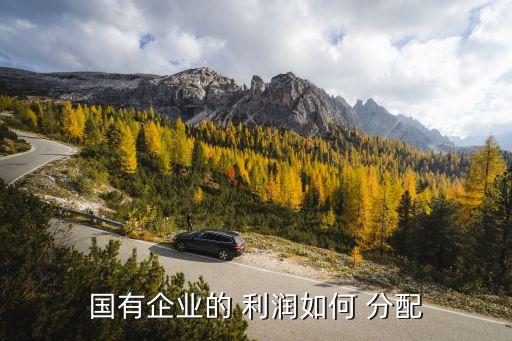 國有企業(yè)的 利潤(rùn)如何 分配