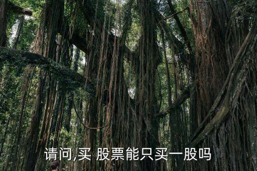 請(qǐng)問(wèn),買(mǎi) 股票能只買(mǎi)一股嗎
