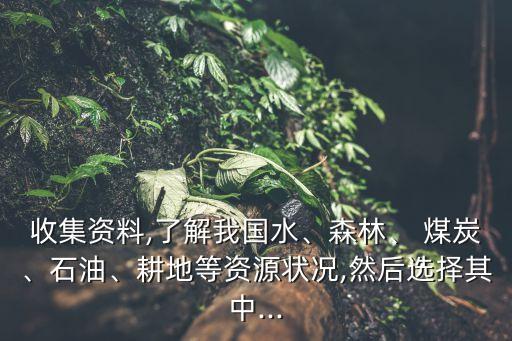收集資料,了解我國水、森林、 煤炭、石油、耕地等資源狀況,然后選擇其中...