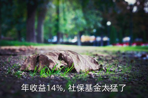 年收益14%, 社?；鹛土? class=