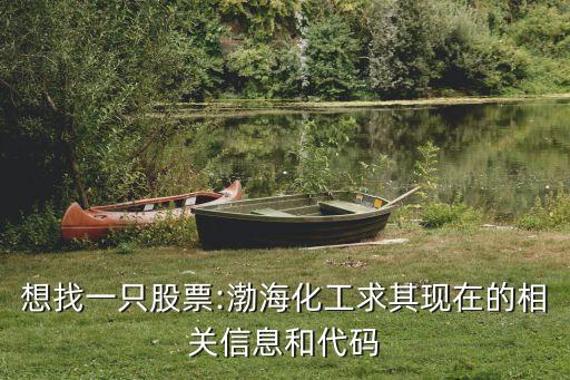 想找一只股票:渤?；で笃洮F(xiàn)在的相關(guān)信息和代碼
