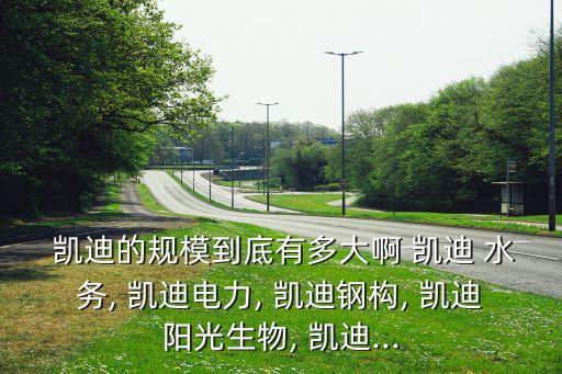 天門凱迪水務有限責任公司