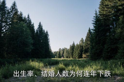 出生率、結(jié)婚人數(shù)為何連年下跌